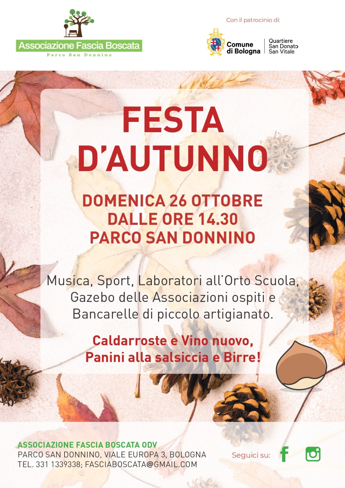 fest festa